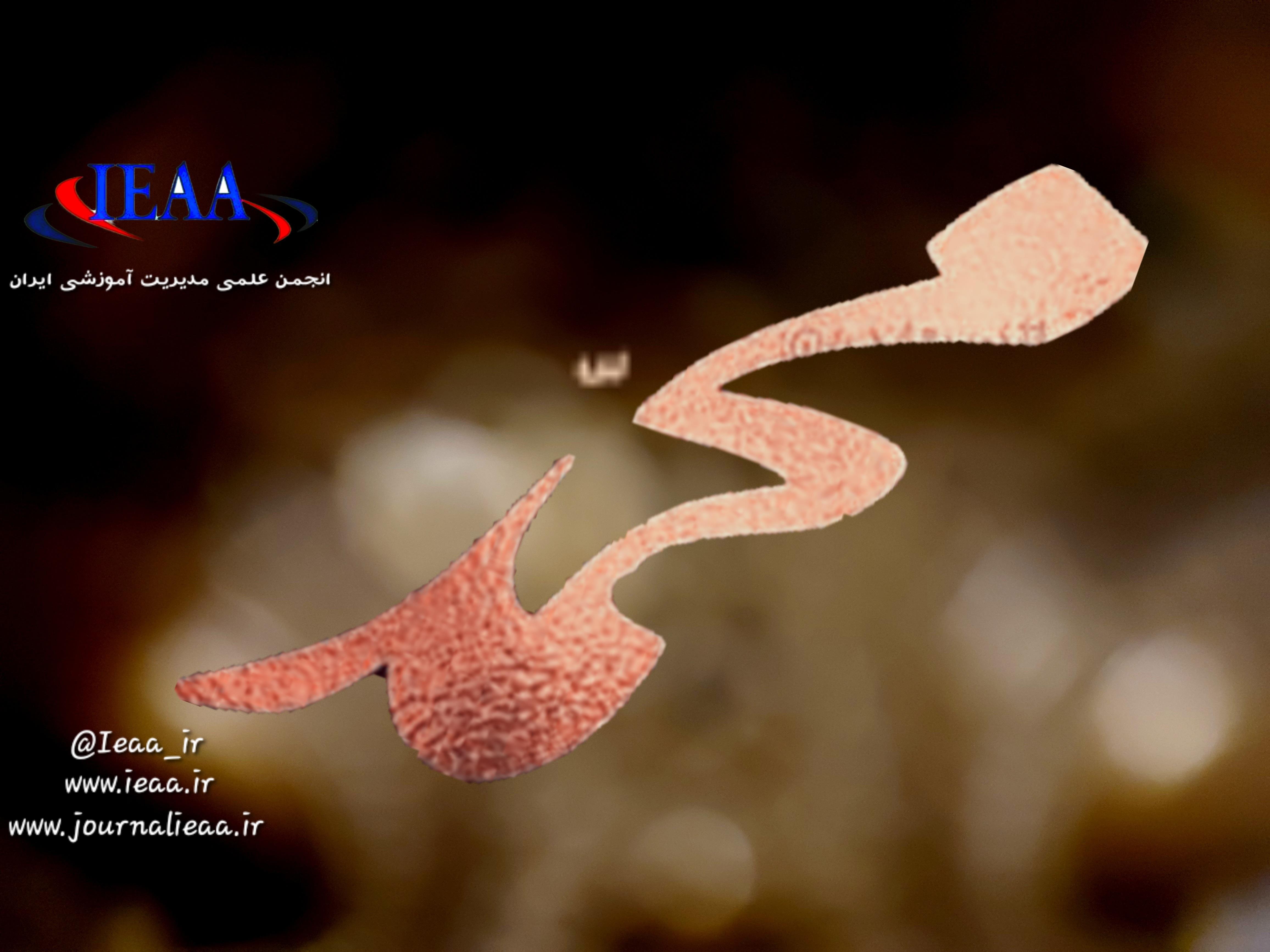  https://digipostal.ir/cqipajqمیلاد با سعادت حضرت محمّد مصطفی(ص) و امام جعفر صادق(ع) بر همگان فرخنده باد. لطفا لینک را بازکرده و روی  عکس ضربه بزنید.